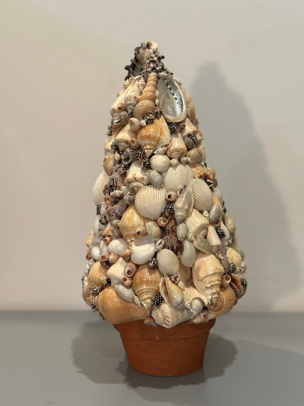 Vintage Coastal Seashell Tree Topiary Terracotta Pot Beach Cottage Decor 14”